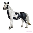 Schleich Pinto Tamma 13696 - Second Hand