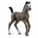 Schleich Ranskanpuoliverinen Varsa 13957