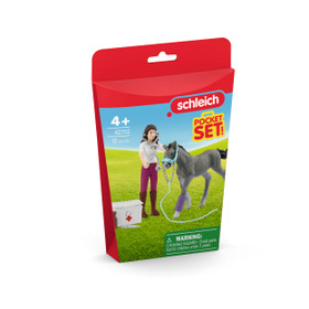 Schleich Eläinlääkärisetti 42752
