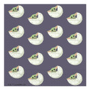 Star Wars Mandalorian Lautasliinat, 20kpl