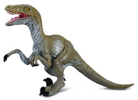 CollectA Velociraptor M