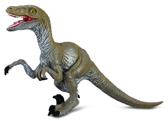 CollectA Velociraptor M