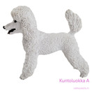 Schleich Villakoira 13917 - Second Hand