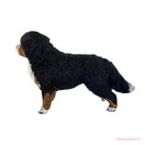 Schleich Bernin paimenkoira Naaras 16397 - Second Hand