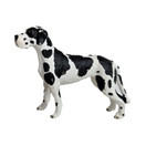 Schleich Tanskandoggi 16384 - Second Hand