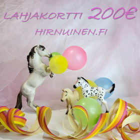 Lahjakortti 200 Eur