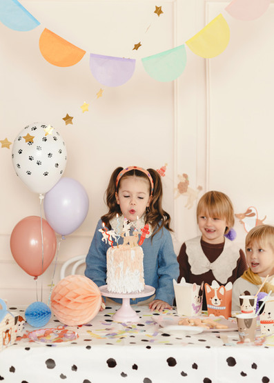 Pöytäliina Dalmatialaisen pilkut Paperia, 180x120cm