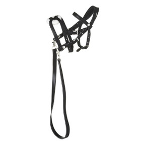 Keppihevosen suitset, mustat