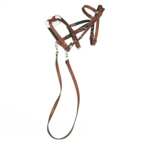 Keppihevosen suitset, ruskea