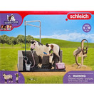 Schleich Pesupaikka setti 42104 - Second Hand