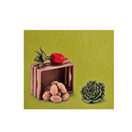 Schleich Ruokasetti 42289 - Second Hand