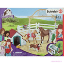 Schleich Hannahin hoitohevoset ja koira 42458 - Second Hand