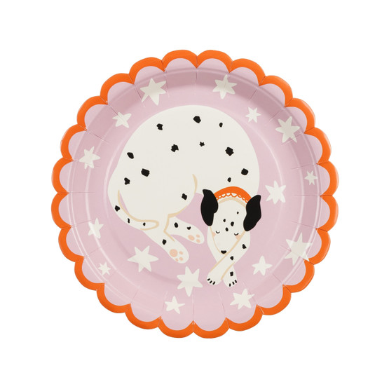 Pahvilautanen Dalmatialainen, 18cm, 6kpl