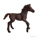 Schleich Englannin täysiverinen Varsa 13857 - Second Hand