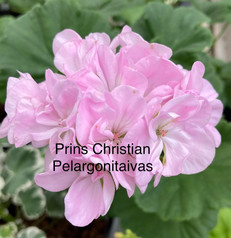 Prins Christian