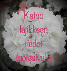 Pirkko