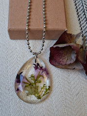 Pelargoniriipus ’Berkswell Jester’