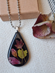 Pelargoniriipus ’Tähtipelargoni’