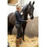 Equithème 