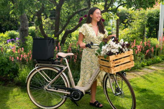 Atran Velo Woody Fruit AVS - tavarakori 23l