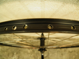 Mach 1 Traxx Disc 27,5