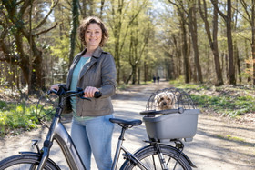 New Looxs Clipper Pet Package - pyöräkori Atran Velo AVS - tavaratelineeseen taakse