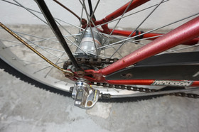 Recycled; Madison Rosa 20