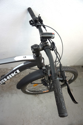 Nishiki Bigfoot 29