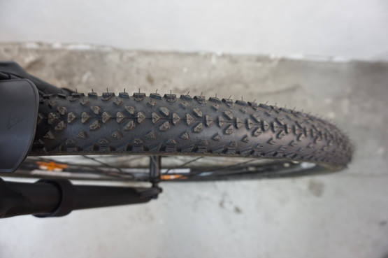 Nishiki Bigfoot 29