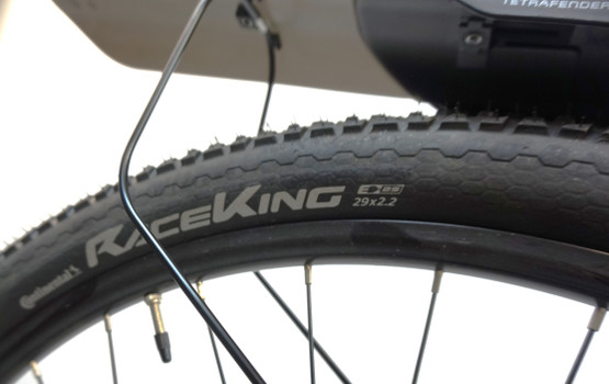 Nishiki Bigfoot 29