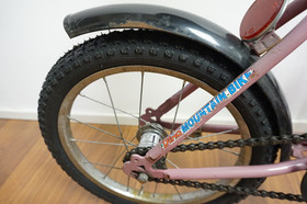 Dino MTB 16