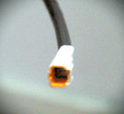 Yamaha Sideswitch A - näyttö 1,7