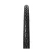 Schwalbe Energizer Plus Green Guard 28