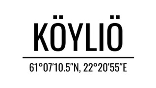 Köyliö huppari isolla logolla