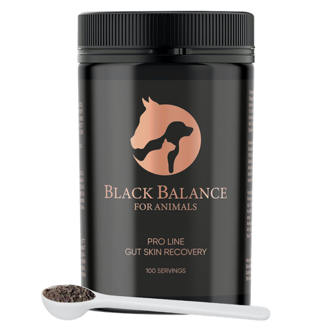 Balck Balance hevosille 135g