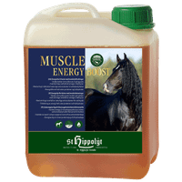 Musle Energy Boost 2,5 l
