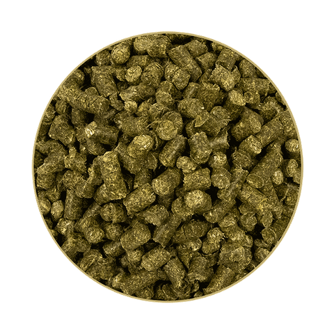 Glyx Wiese Bio EsparsetteCobs 20kg