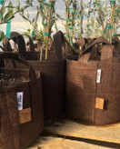  Ruskea, Boxer kangasruukku 21x21cm 8l, Growbag Root Pouch,