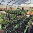 Vihreä kangasruukku 28x26cm 16L kantokahvoilla, Growbag Root Pouch