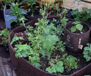 Ruskea kangasruukku 25,5x21,5cm 12L, Root Pouch Growbag