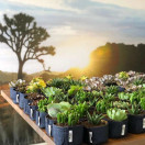 Growbag Root Pouch kangasruukku 21x21cm 8L, musta