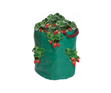 Garland Mansikka/Yrtti kasvusäkki 46x38 cm