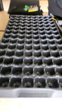 Idätysastia taimille 104 paikkainen