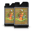 Advanced Nutrients Sensi Grow Coco B 1l