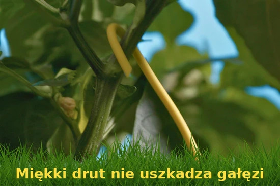 BudTrainer BudHuggers kasvien sidontanauha 15 m