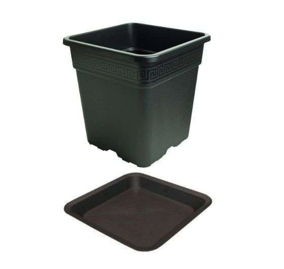 Neliöruukku vega nero 6 l (21 × 21 × 21.6 cm)