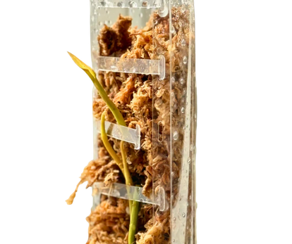 PlantScraper