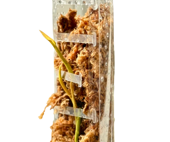 PlantScraper dripperillä koko S