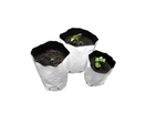 Herbgarden muovinen kasvatuspussi 44l L35xK54xS31
