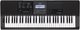 Casio CT-X700 keyboard 